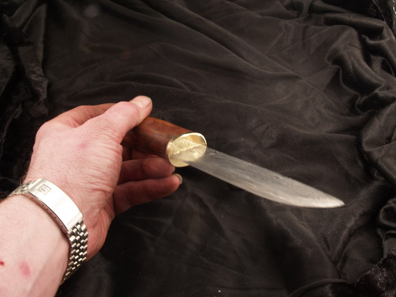 P3118771 Bildgröße ändern