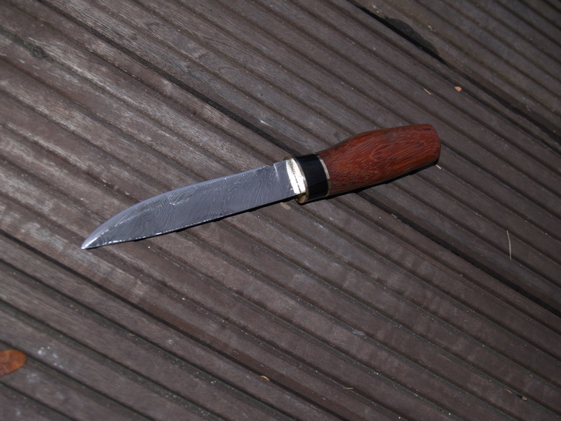 PB220231 Bildgröße ändern