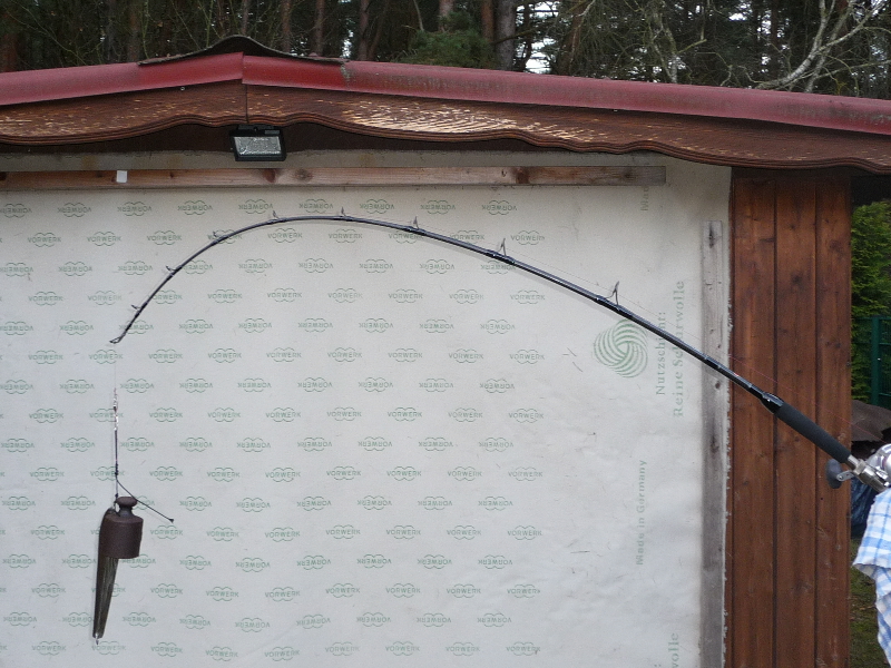 Penn Millenium altes Modell 30 lbs
Länge: 2,01 m
Belastung: 3kg ; 43°