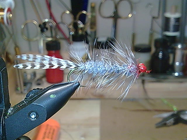Polar Magnus Variante