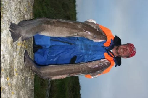 Poplow mit zwei Lengfischen