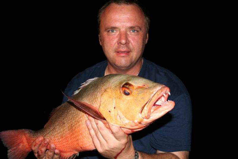 Red Snapper two spotted