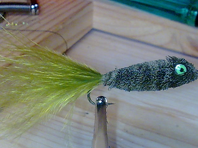 Rehhaarfischchen 
Haken TMC #6 in 6xl