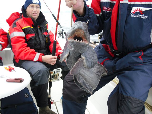 Rolands Steinbeisser