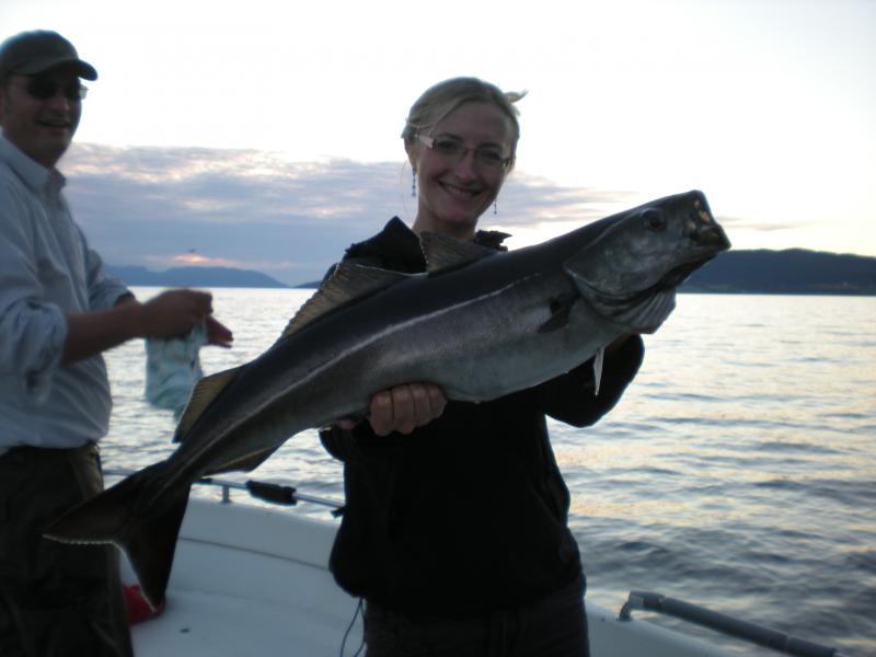 Romsdalfjord 2010 045