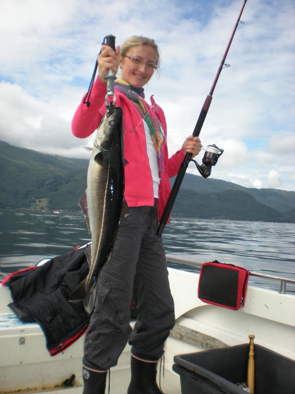 Romsdalfjord 2010 056