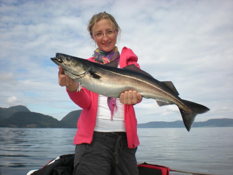 Romsdalfjord 2010 059