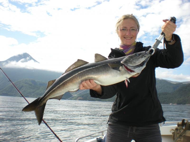 Romsdalfjord 2010 062