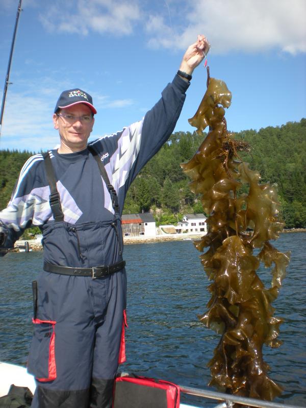 Romsdalfjord 2010 063