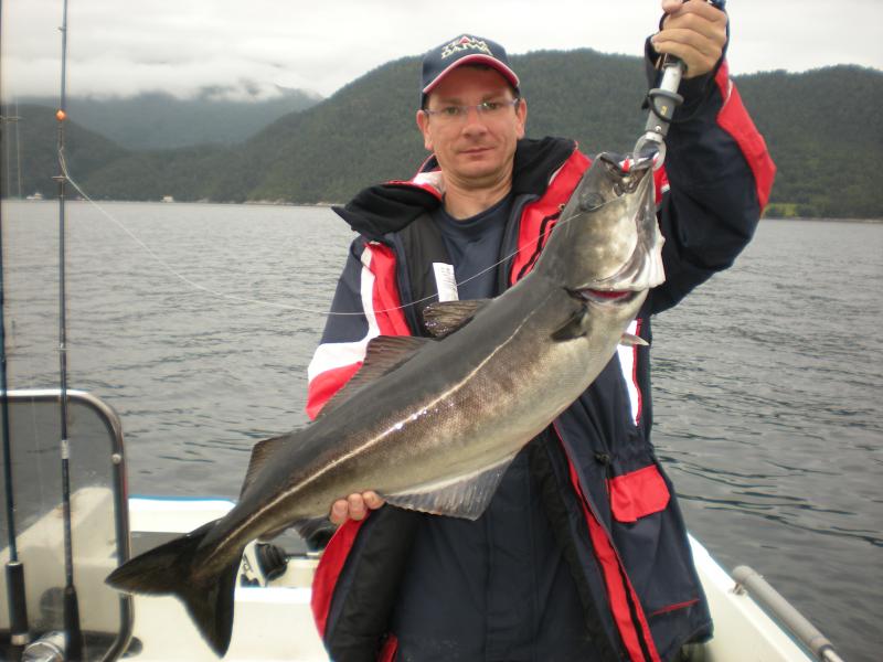 Romsdalfjord 2010 074