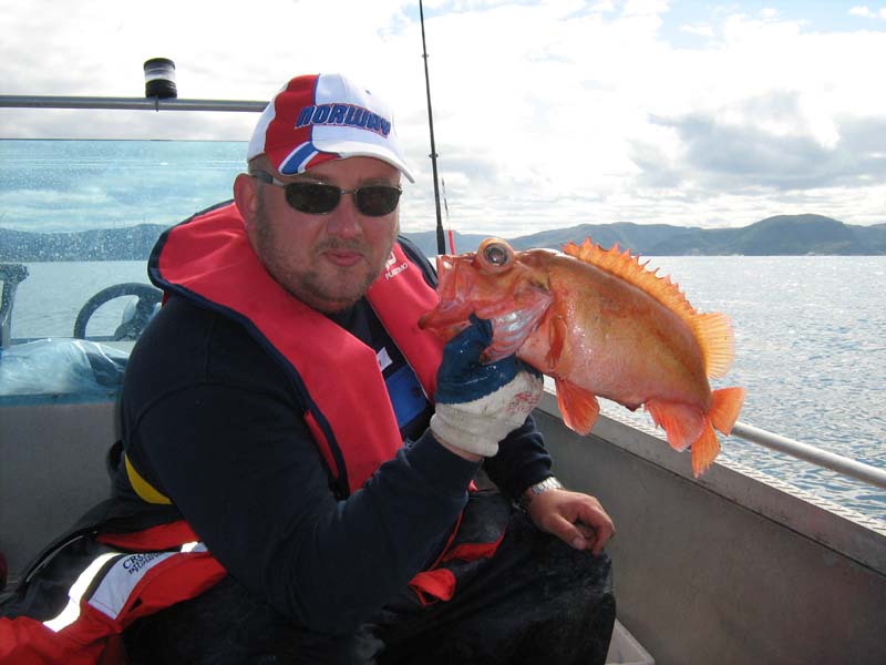 Rotbarsch is mal wat lecker!!!