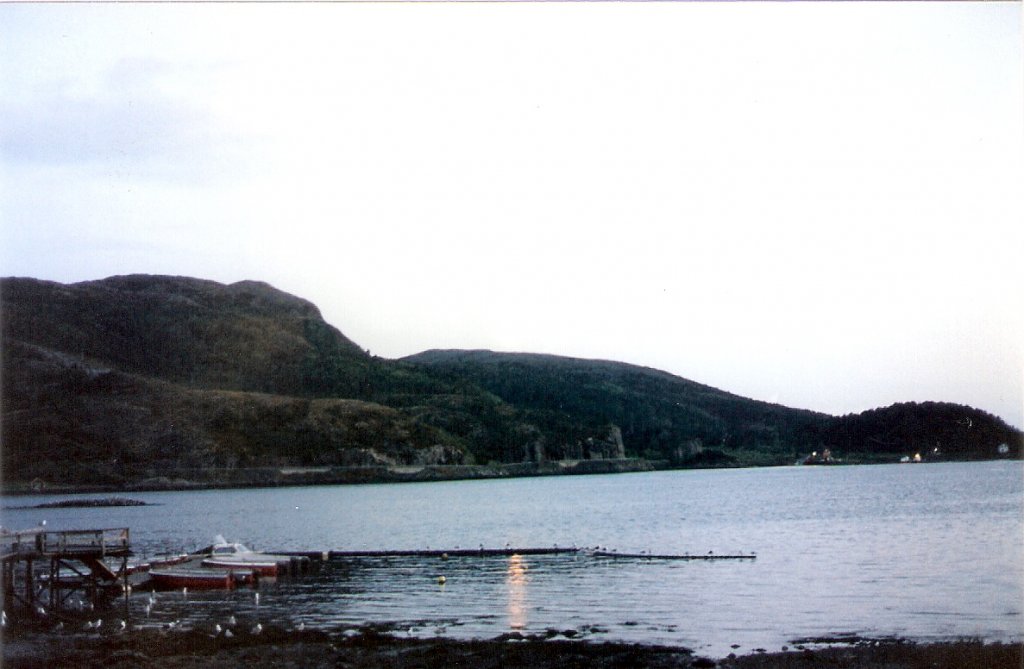 Scannen0011
