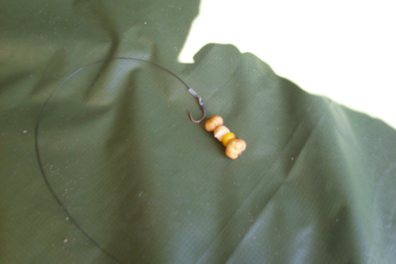 Schmackhafter Partikelköder.