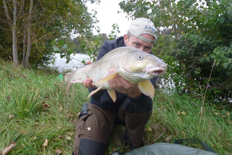 Schöne 5kg Barbe