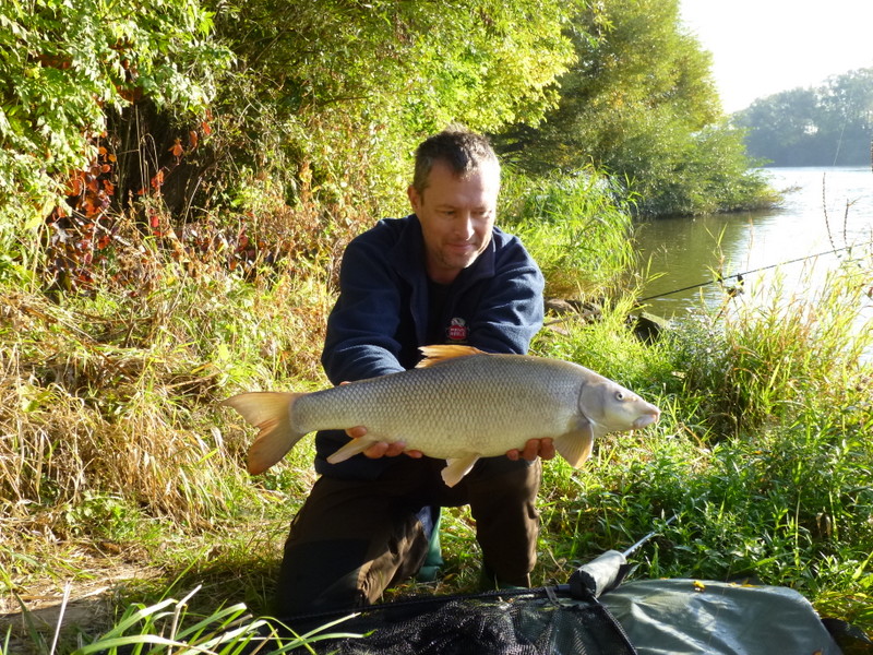 Schöne Mainbarbe von 5,6kg.