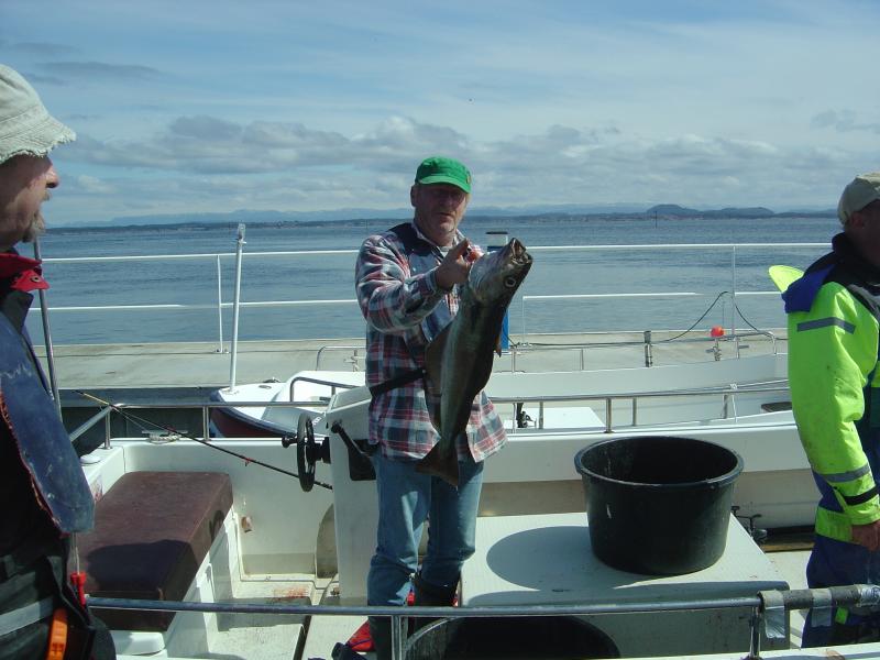 Schöne Pollacks in Sichtweite der Unterkunft.