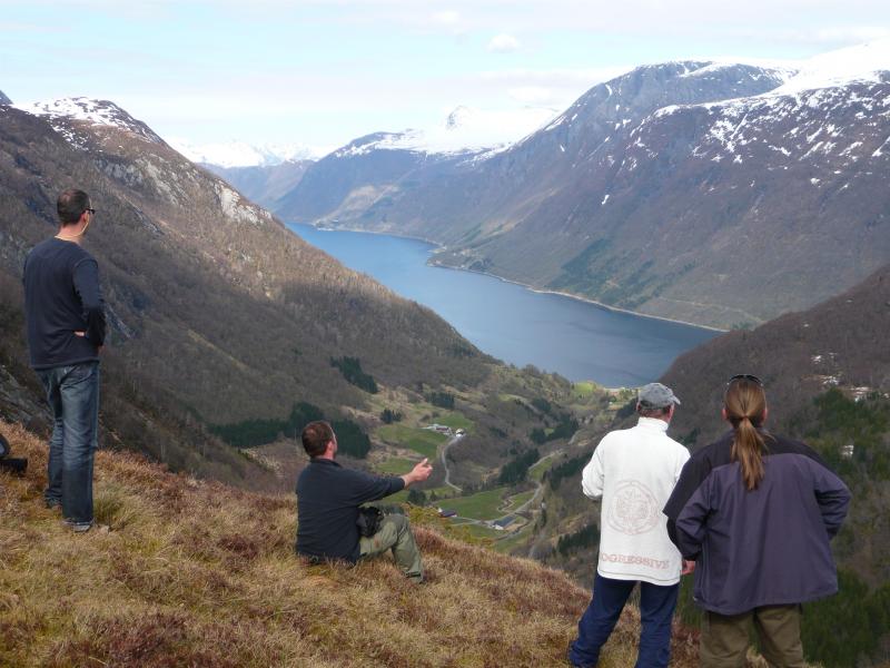 schöner Ausblick auf den Dalsfjord
