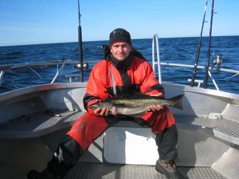 schöner Pollack 2008, Hitra