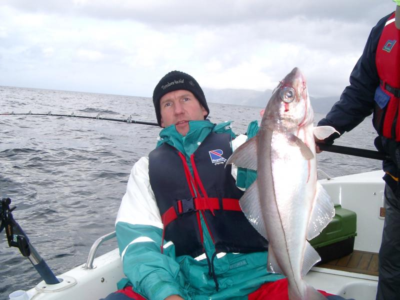 Schöner Schellfisch nahe der Insel Selja.