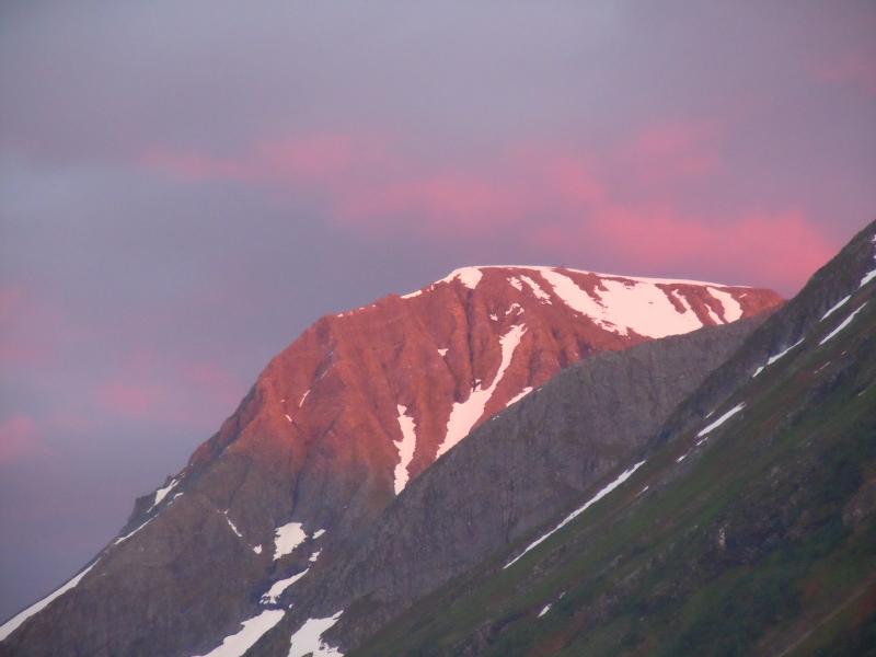 schöön