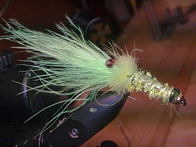 Schrimp