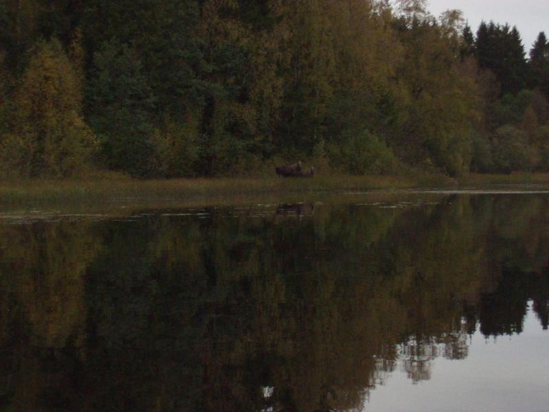 schweden mit marcel okt.02 026