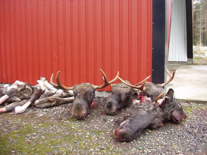 schweden mit marcel okt.02 057