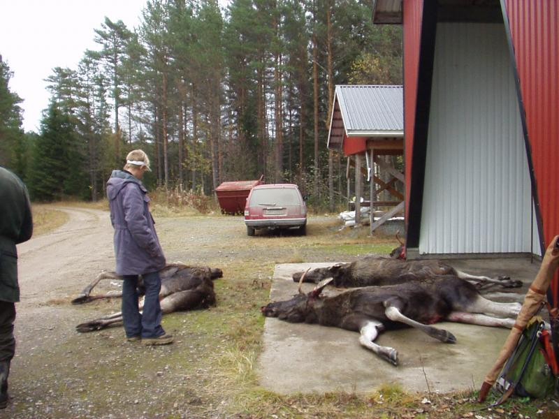 schweden mit marcel okt.02 065