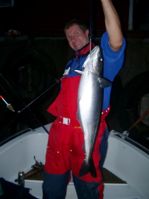 Seelachs mit Pose nahe der Fischfabrik in Moldestad.