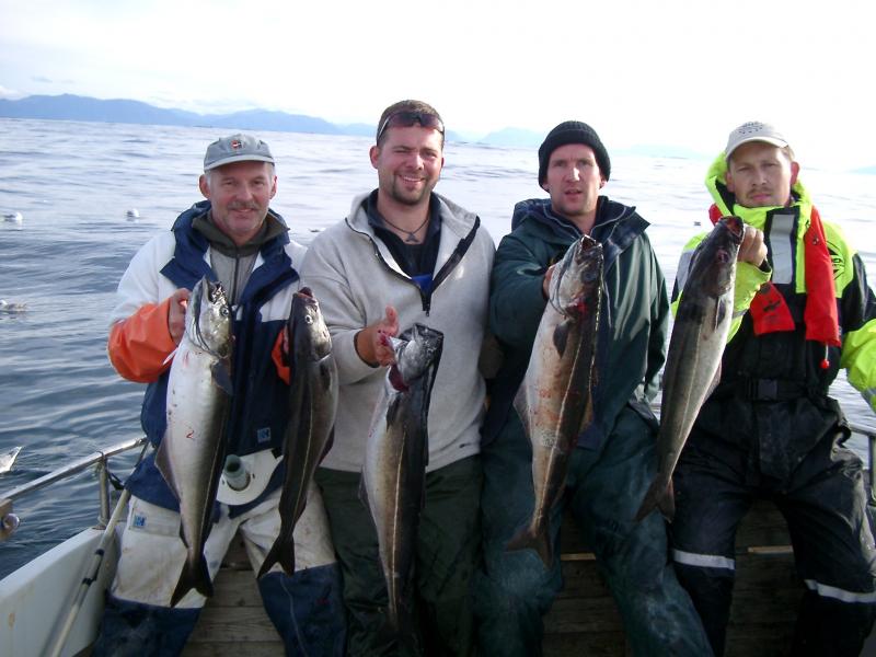 Seelachse westlich von Bud.