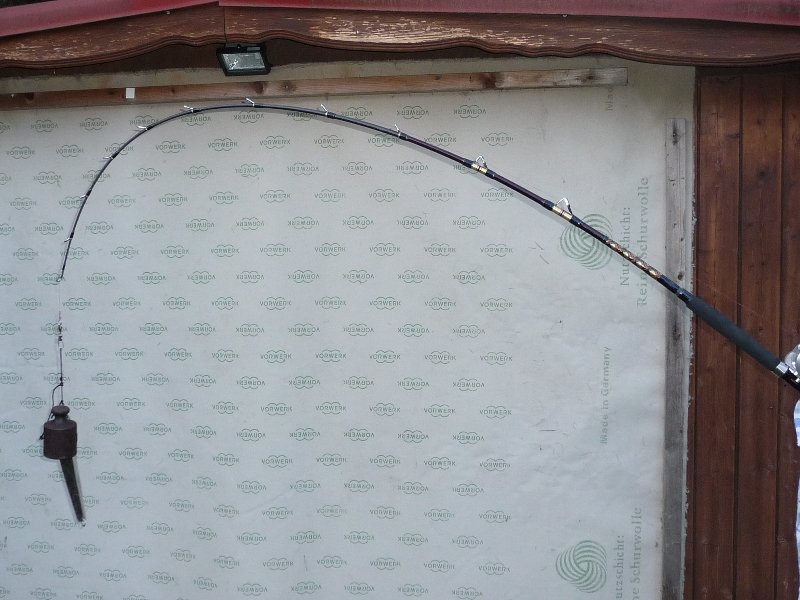 Shimano Antares Braid Boat 30-50 lbs
Länge: 2,21 m
Belastung: 3kg ; 43°