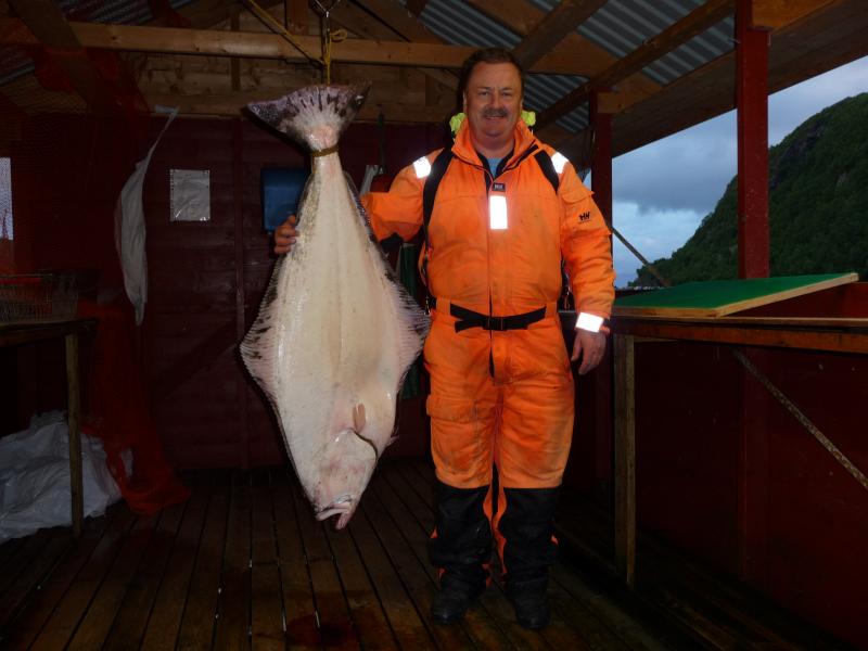 Skjervoy_2008
Heilbutt, 133 cm, 58 Pfund