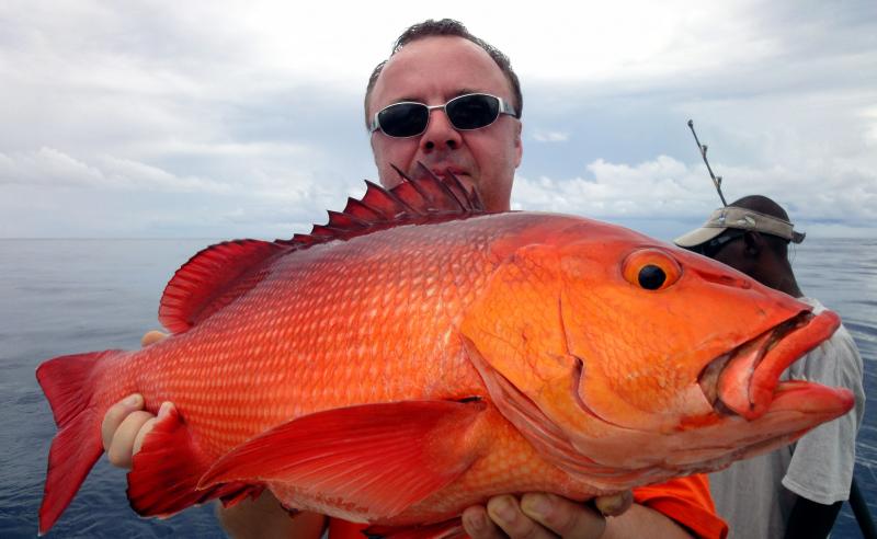 snapper red twospoted 2