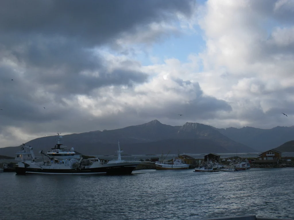 Sommaröy  Kvalöya 2010