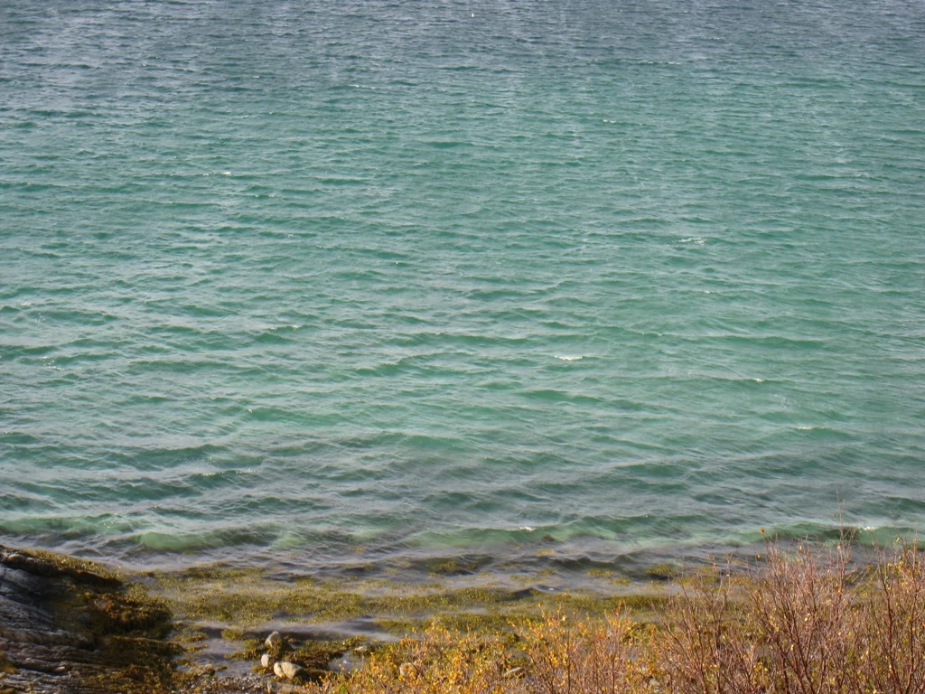 Sommaröy  Kvalöya Herbst 2009