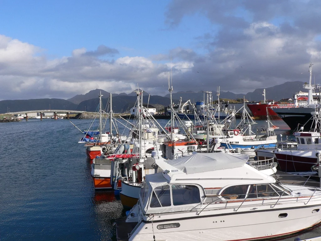 Sommaröy  Kvalöya Herbst 2009