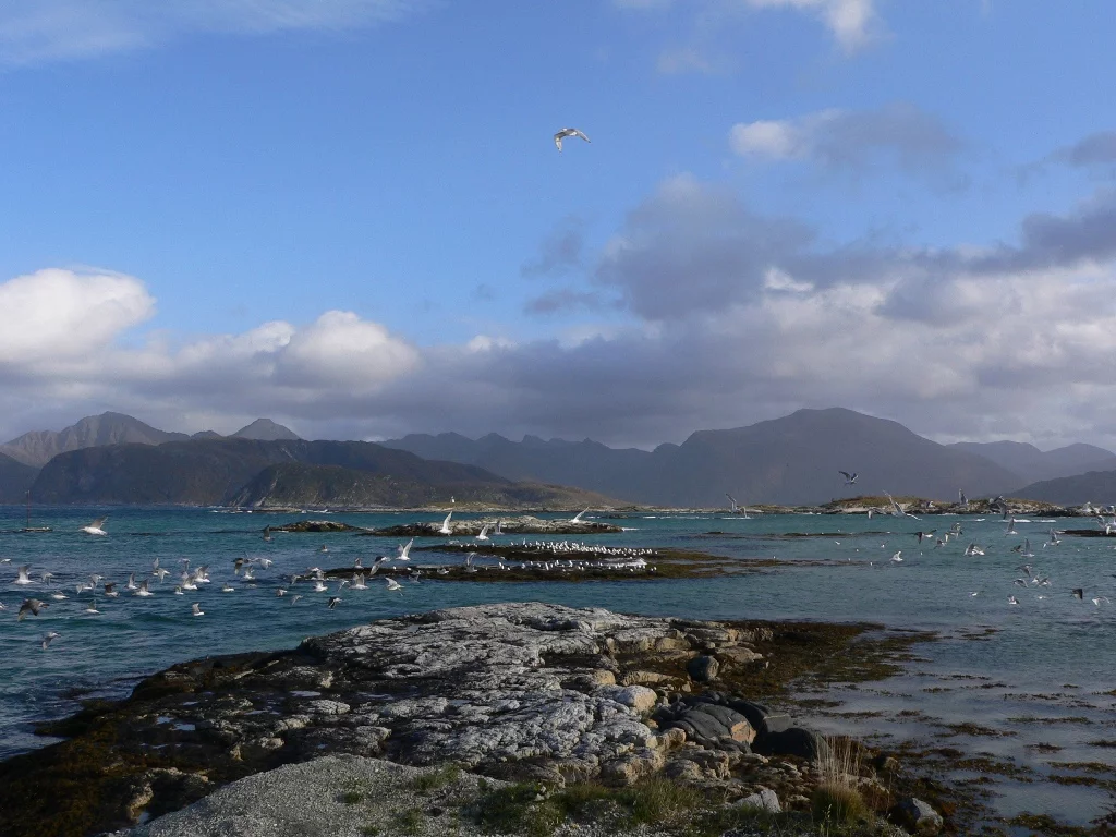 Sommaröy  Kvalöya Herbst 2009