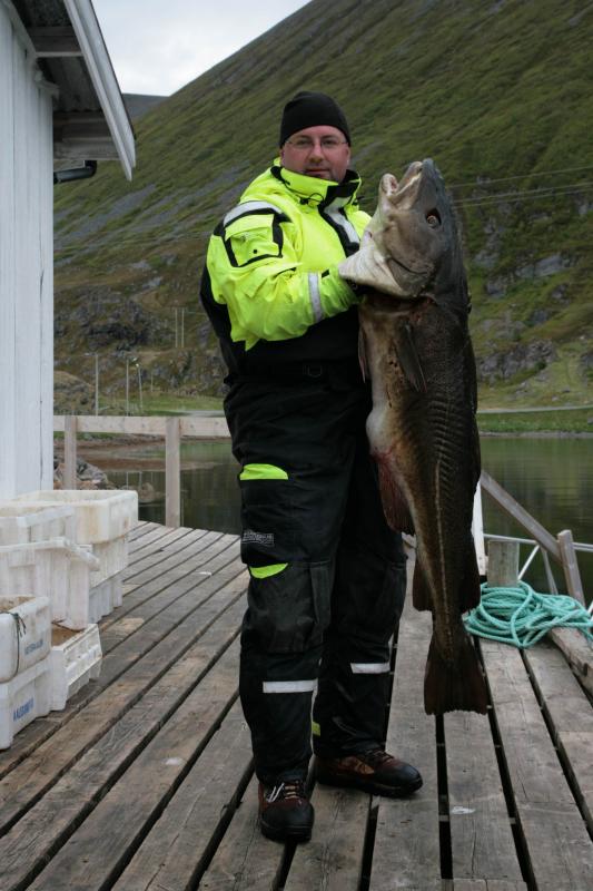 Soroya201242