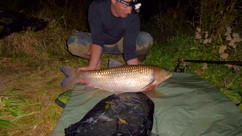 Stattlicher Graskarpfen von 14,2kg bei knapp 1,00m.