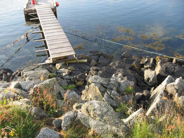 Stegzugang