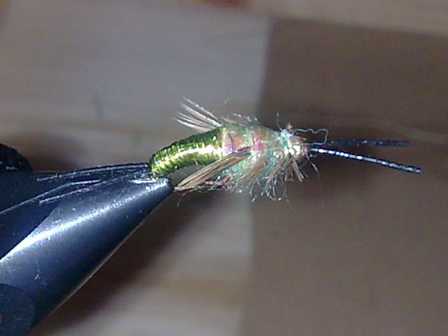 Steinfliegennympfe 
haken größe 10