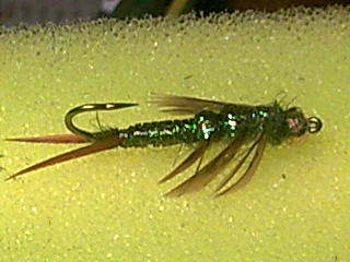 Steinfliegennympfe Upside douwn gebunden