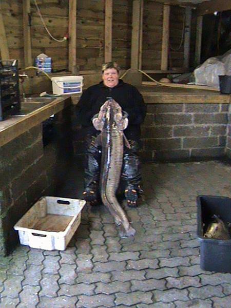 Stolmen 2011 010