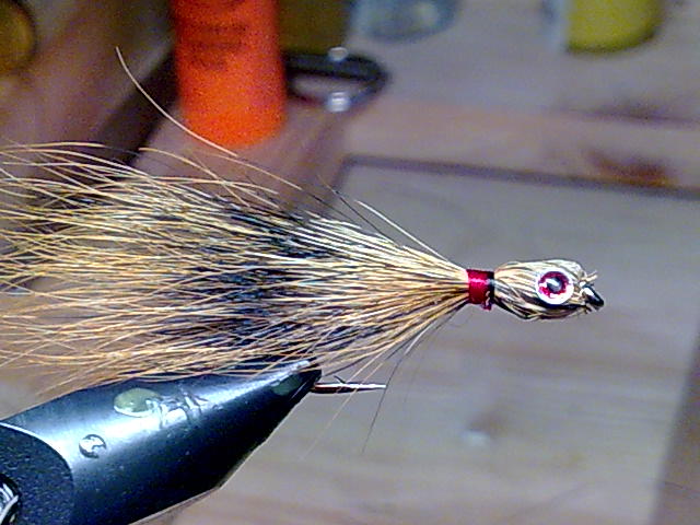 Streamer auf 8er Hayabusa Haken 
Material Eichhörnchenschwanz