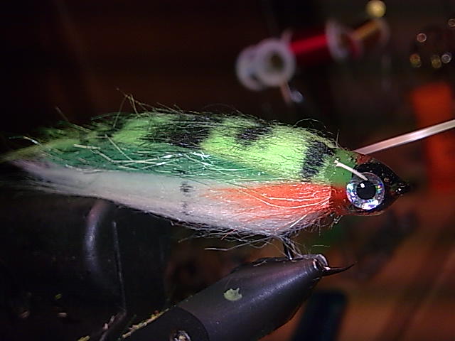 Streamer mit Epoxy Kopf