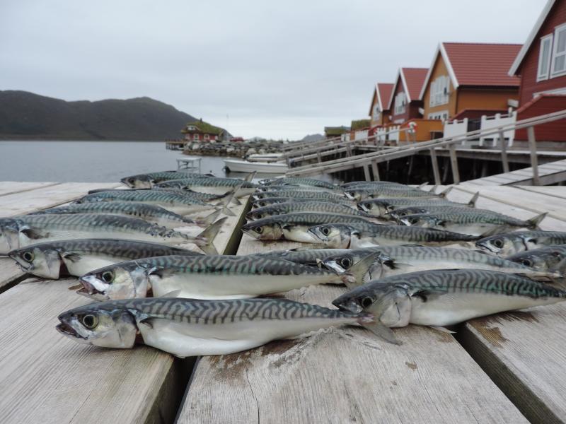 Strecke Thun in Miniformat