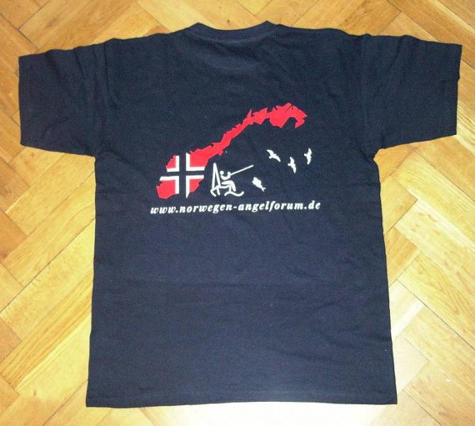 T Shirthinten