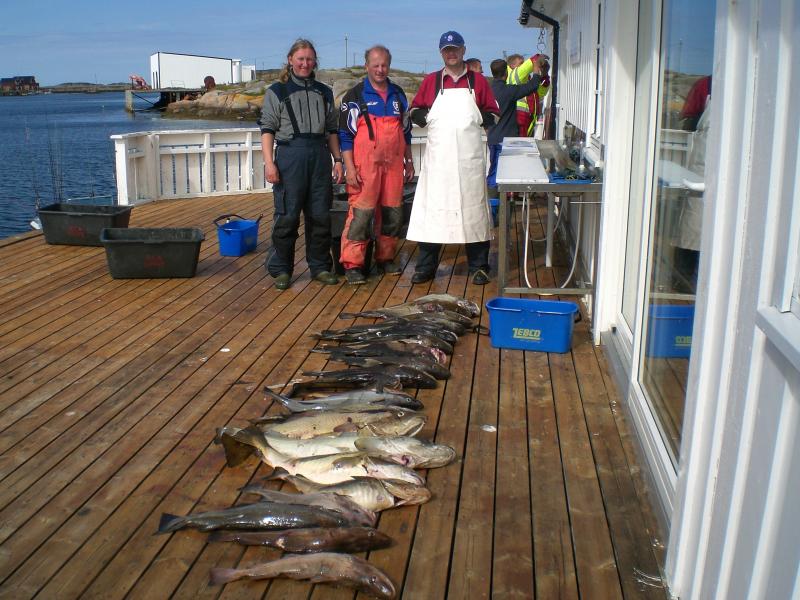 Tagesfang auf unserem Boot