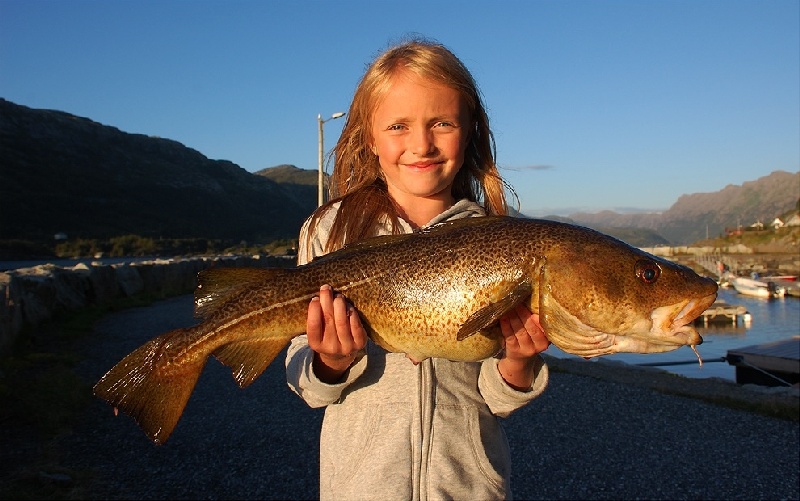 Tankdorsch Skatestraumen