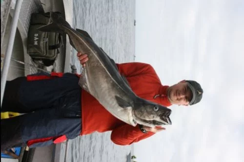 Thilo Pagel mit Seelachs